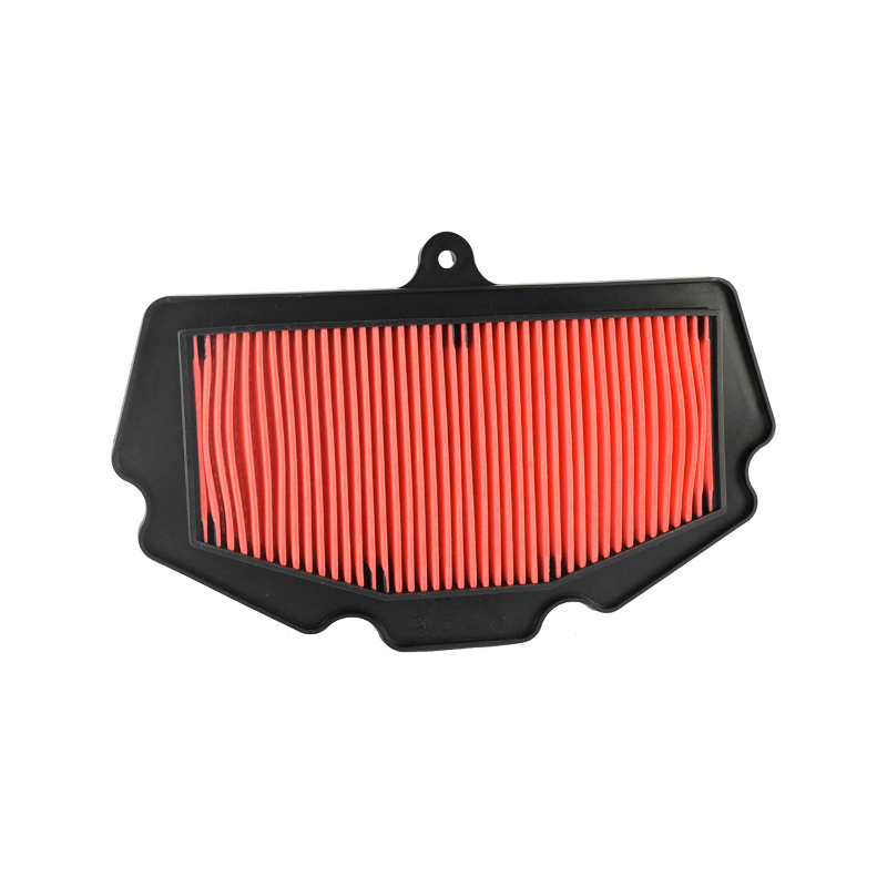 Filtro Aria Champion CAF1406 Luftfilter Champion