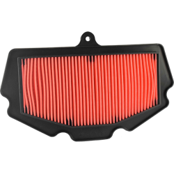 Champion Air Filter CAF1406 Air Filters Champion