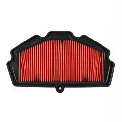 Filtro Aria Champion CAF1610