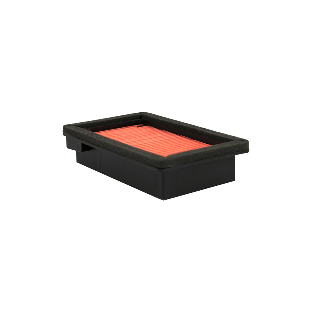 Filtro Aria Champion CAF3613
