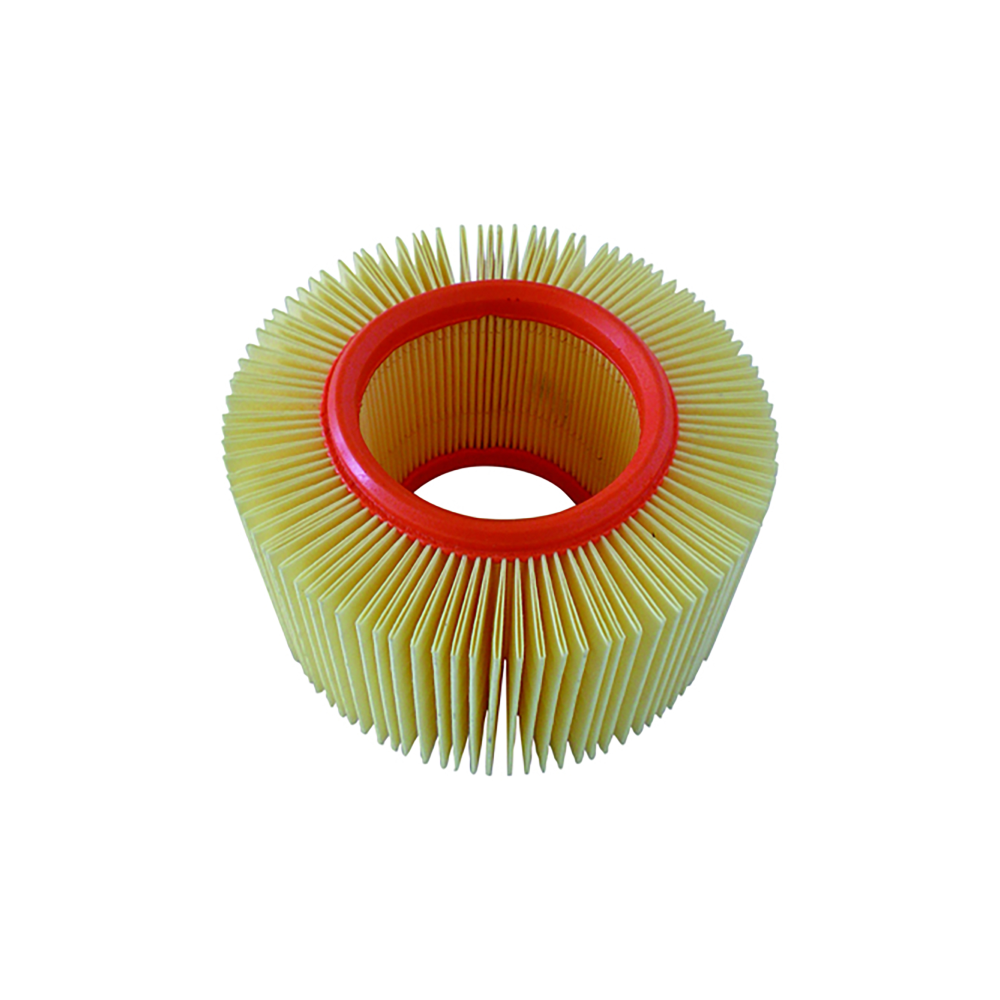 Filtro Aria Champion CAF6910