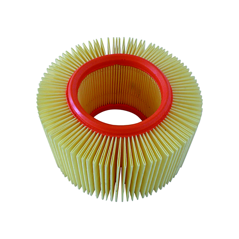 Filtro Aria Champion CAF6910 Luftfilter Champion