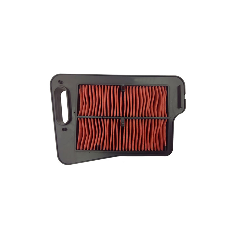 Filtro Aria Champion CAF2401