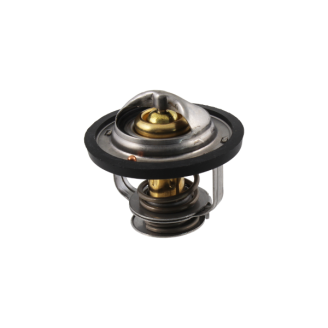 Termostato RMS Piaggio Porter 1.3 RMS