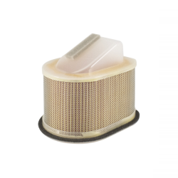 Filtro Aria Champion CAF1802