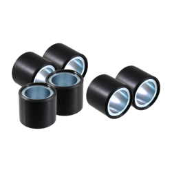 Jeux de rouleaux RMS 25x22mm 26gr Rouleaux de poulie RMS