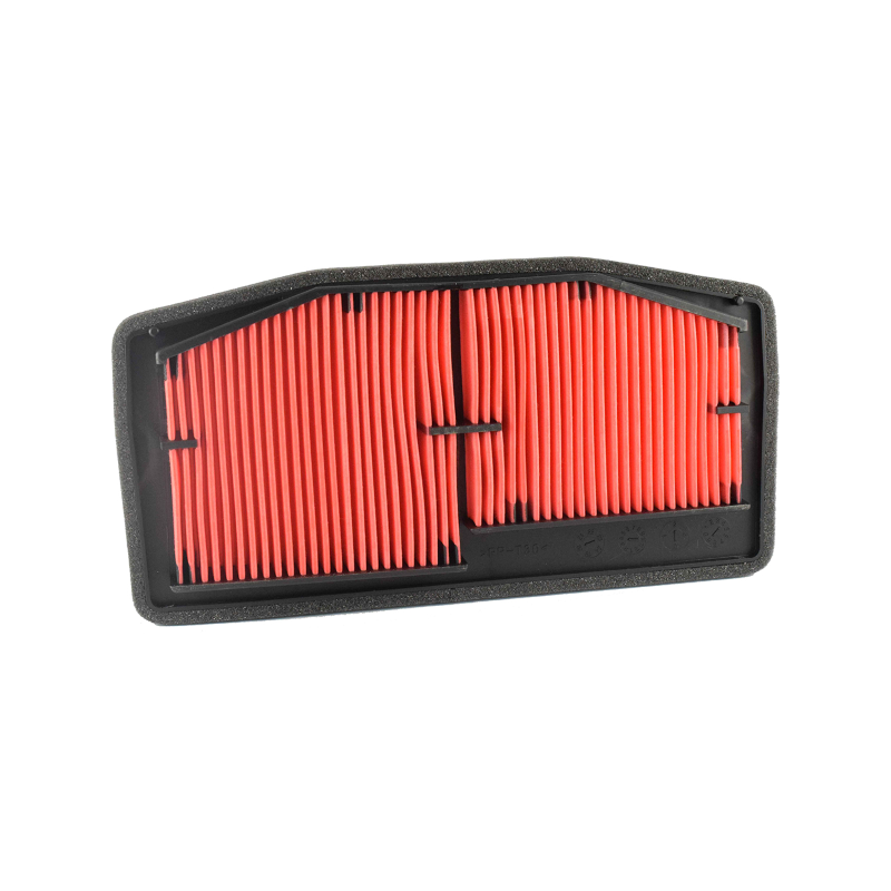 Filtro Aria Champion CAF5506 Luftfilter Champion