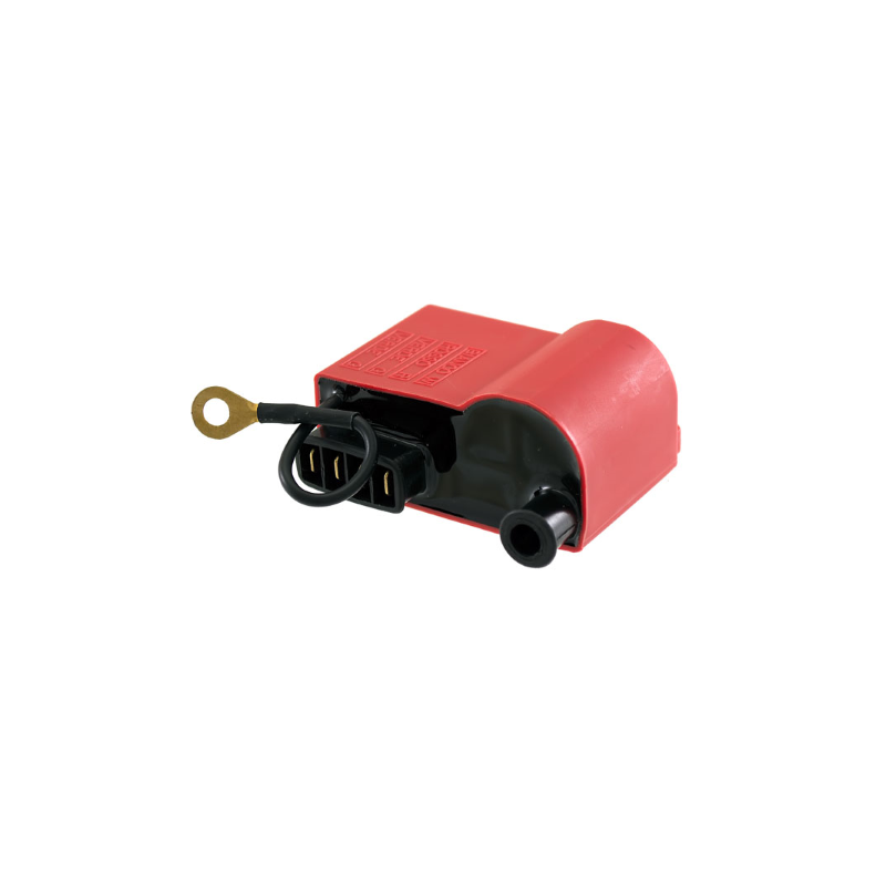 Centralina RMS Classic Piaggio Ape Tm P703 Fl2 220cc 19842005 2441295 Centraline e accessori Rms Classic