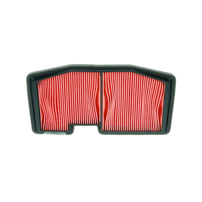 Filtro Aria Champion CAF5502 Luftfilter Champion