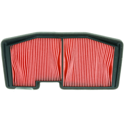 Filtro Aria Champion CAF5502 Luftfilter Champion