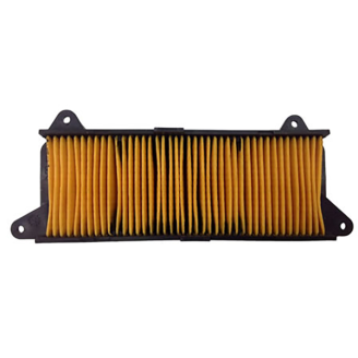 Champion Air Filter CAF0117 Air Filters Champion