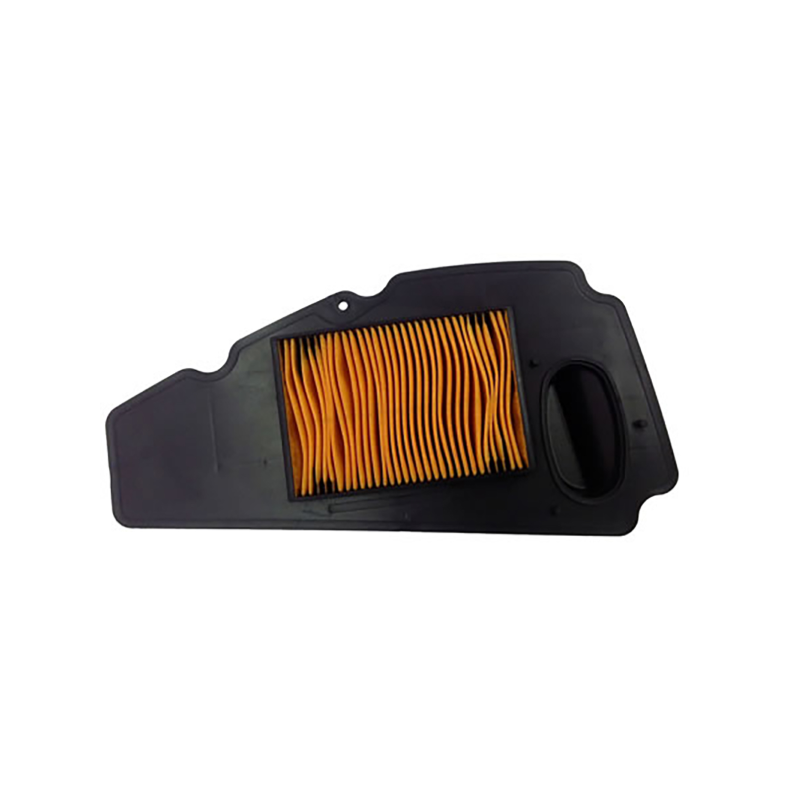 Filtro Aria Champion CAF0213 Luftfilter Champion