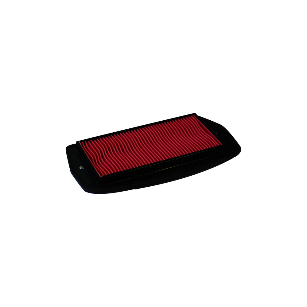 Filtro Aria Champion CAF3612
