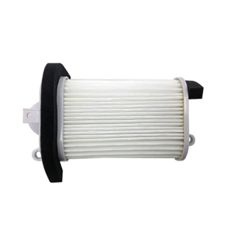 Filtro Aria Champion CAF3509