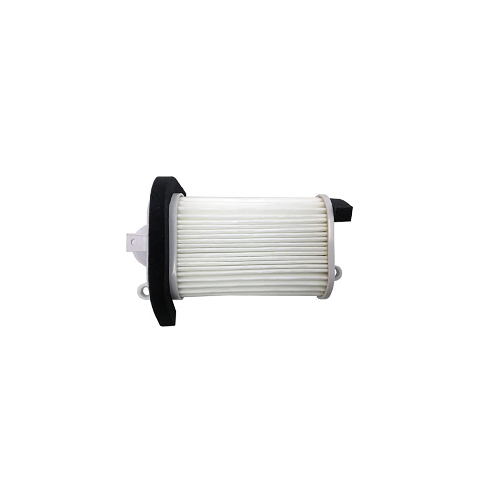 Filtro Aria Champion CAF3509