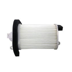 Filtro Aria Champion CAF3509