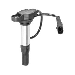 Bobine Beru Aprilia RSV409-19- Tuono 1100 V4 15-19 pour APRILIA RSV4 09-19 et d'autres modèles Bobines Beru