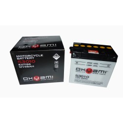 Batterie Okyami 53010 12V 28APER Tracteurs Batteries au plomb-acide OKYAMI