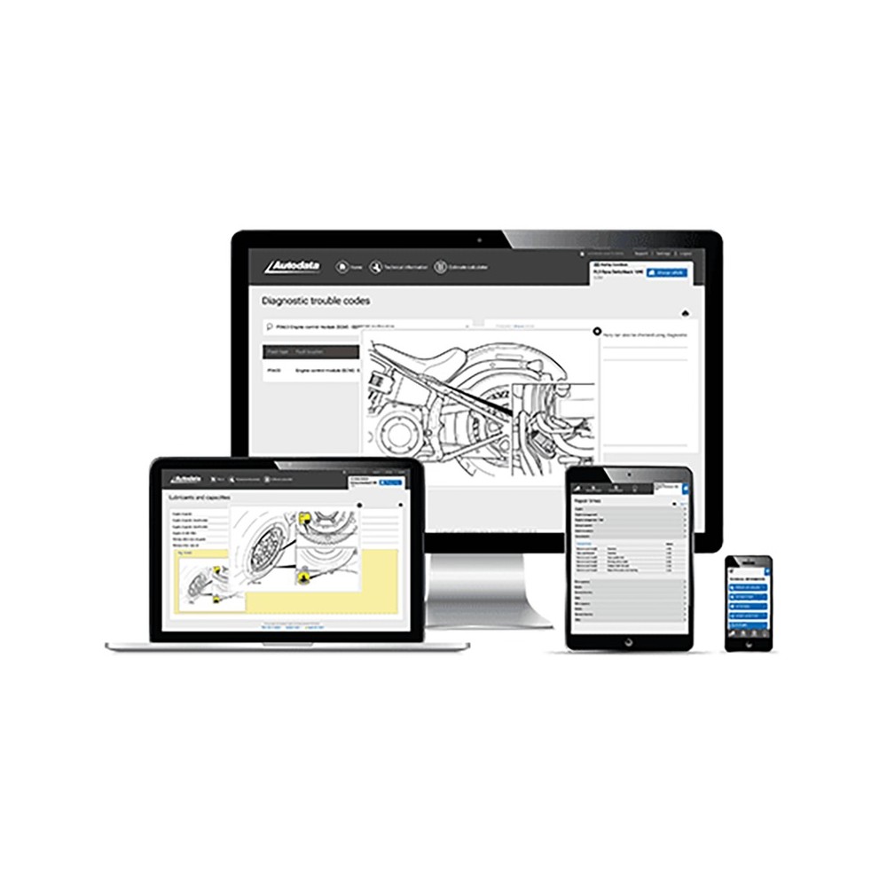 LICENZA AUTODATA 1 UTENZA  AUTODATA