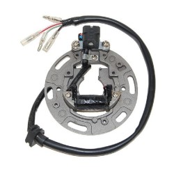 Statore Kawasaki Kx 80 96-97 per KAWASAKI KX80 96-97