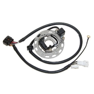 Estator Kawasaki KX65/85 para KAWASAKI KX85 06-13 y otros modelos Estatores ELECTROSPORT