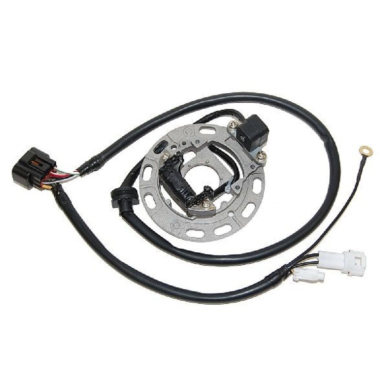 Stator Kawasaki KX65/85 für KAWASAKI KX85 06-13 und andere Modelle Statoren ELECTROSPORT