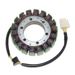 Stator Ducati Superbike 1198/1098/749 04-11 für DUCATI Superbike 749 /S/R 04-06 und andere Modelle Statoren ELECTROSPORT