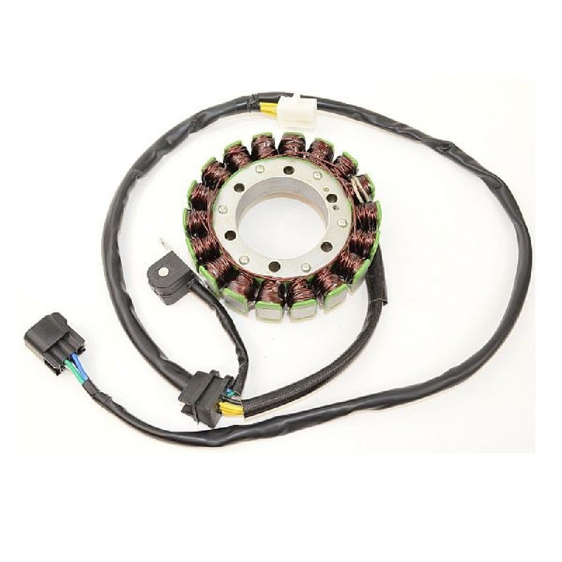 Stator Suzuki Dr 650SE 96-00-Freewind 650 97-01 für SUZUKI DR 650SE 96-00 und andere Modelle Statoren ELECTROSPORT