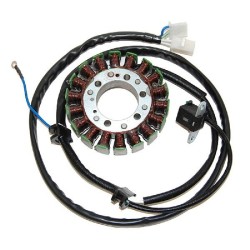 Stator Yamaha Virago 250 89-99 - Virago 125 97-00 für YAMAHA XV Virago 250 89-99 und andere Modelle Statoren ELECTROSPORT