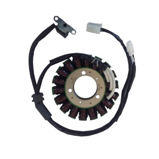 Estator Triumph Street TRIPLE675 07-14- Daytona 675 06-14 para TRIUMPH Daytona/Daytona SE 675 06-14 y otros modelos Estatores ELECTROSPORT