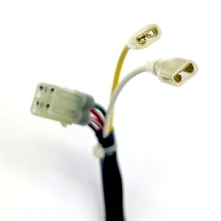 Stator KTM EXC 125/200/300 05-16 für KTM EXC 125/200/300 05-16 und andere Modelle Statoren WAI