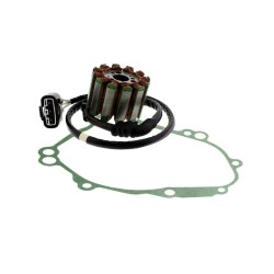 Kit Statore E Guarniz.Yamahayzf-R1 04-08- FZ1- FZ8 per YAMAHA YZF-R1 04-07 e altri modelli Statoren KIT MAGAZZINO