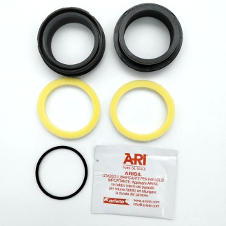 KIT PARAOLI DIAM.36 Ohlins RXF36 Air/Coil 16-18 ARIETE