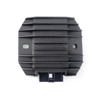 Kit Rev.2 Pinze Freno Ant.KAWAZ750 04-06, Er-6N/F 06-08 per KAWASAKI Z750 04-06 e altri modelli Kit de revisión TOURMAX