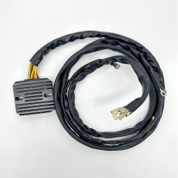 Regolatore Bmw R100 Gs 89-96-Moto Guzzi V35 Iii 85-92 per BMW R100 GS 89-96 e altri modelli Regolatori WAI