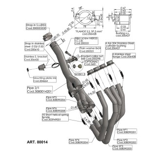 Racing Sammler Kit KAWASAKI Z900 20- für KAWASAKI Z900 20- Sammler und Armaturen LEOVINCE
