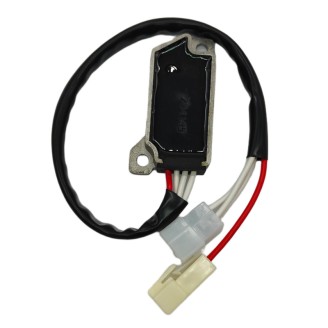 Regolatore Yamaha Xv 535/700/750/1000/1100, V-Max 1200 per YAMAHA XV 535/750/00/ 00 e altri modelli Regler WAI