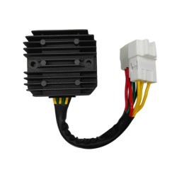 Regolatore Honda VTR1000 00-06 per HONDA VTR 00 00-06