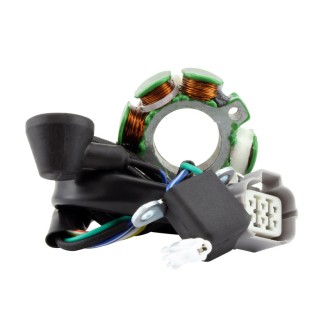 Statore Kawasaki Kx 250F 06-08/Suzuki Rm-Z 250 05-06 per KAWASAKI KX 250 F 05-08 e altri modelli Stators ELECTROSPORT