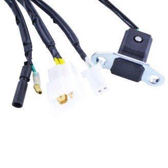 Stator Honda CMX 250 Rebel 96-16 pour HONDA CMX 250 96-16 Stators MAGNETI MARELLI