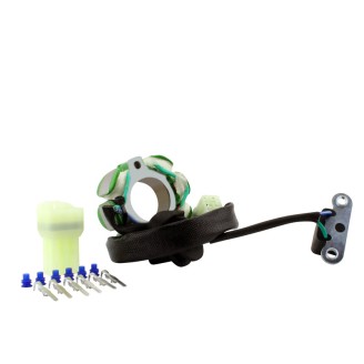 Estator Suzuki RM 450 Z 05-07 para SUZUKI RM 450 Z 05-07 Estatores MAGNETI MARELLI