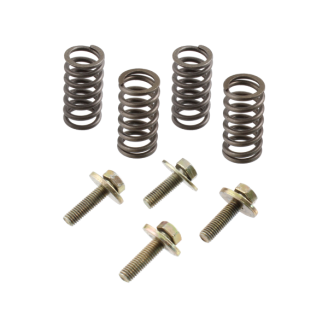 RMS Clutch springs and screws Minarelli Am6 Clutch Springs RMS