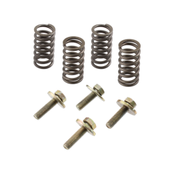 RMS Clutch springs and screws Minarelli Am6 Clutch Springs RMS