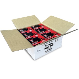 6PZ Batterie YUASAYT9B-Bs mit Säure für YAMAHA Majesty 400 04-06 und andere Modelle Andere Batterien YUASA