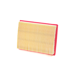 Filtre à air Champion CAF9017