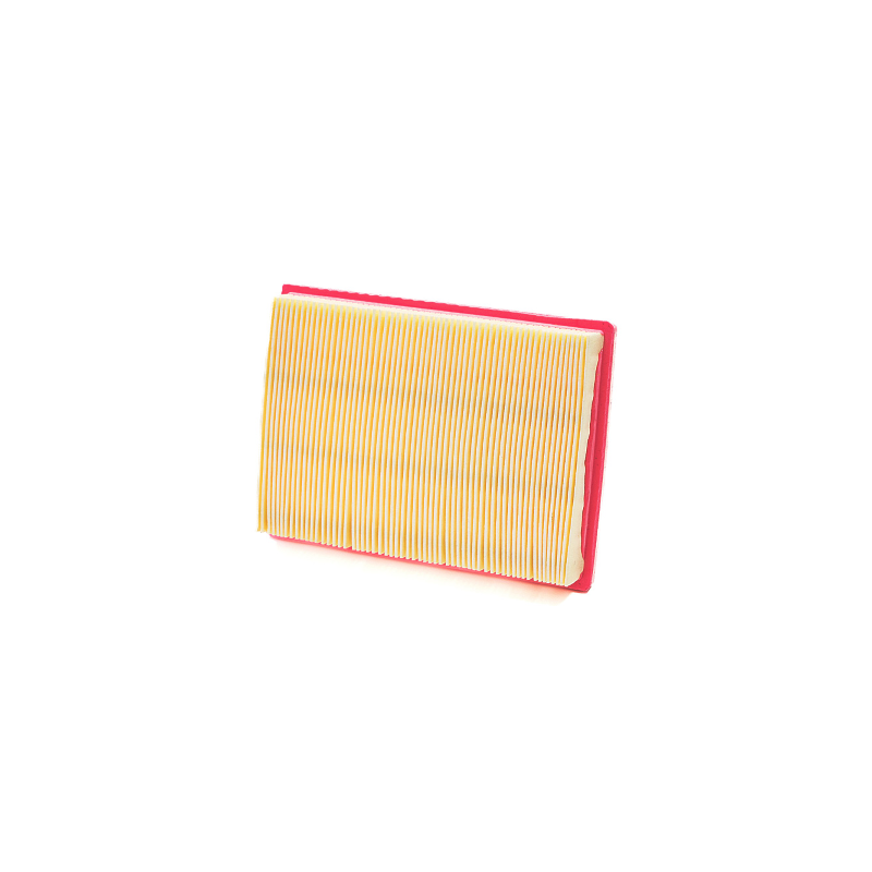 Champion Air filter CAF9017 Air Filters Champion