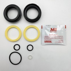 Oil Seal Kit Rebuild Kits (Overhaul Kits) ARIETE