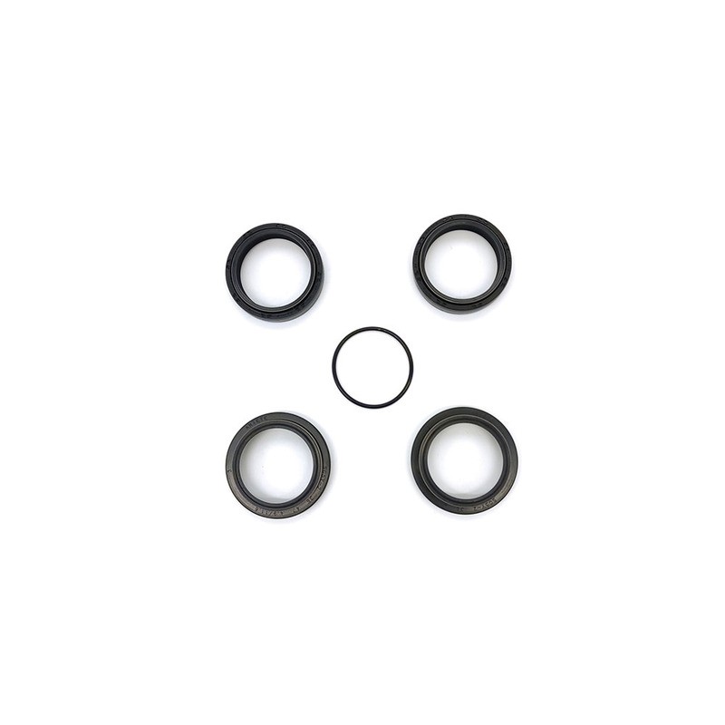 Oil Seal Kit Rebuild Kits (Overhaul Kits) ARIETE