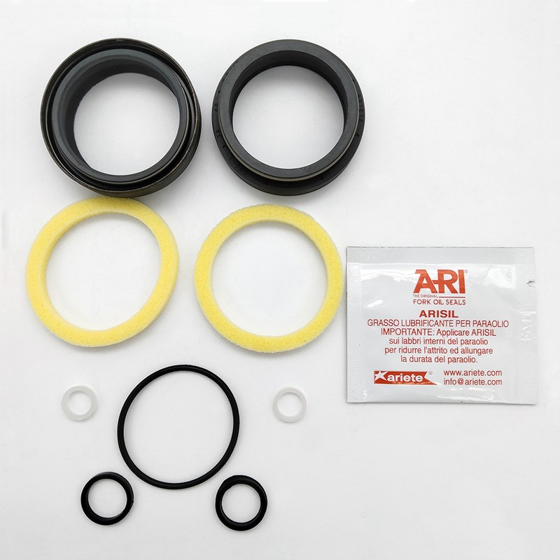 Oil Seal Kit Rebuild Kits (Overhaul Kits) ARIETE
