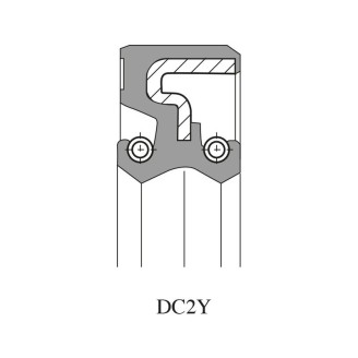 Paraolio DC2Y 35x20x7 Viton - P/362